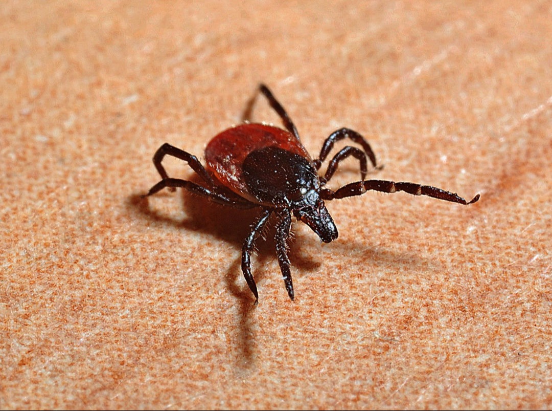 Secured Environments tick control