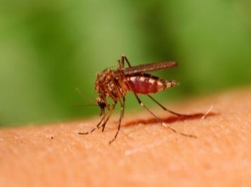 Secured Environments tick and mosquito control