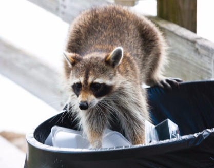 Secured Environments wildlife services